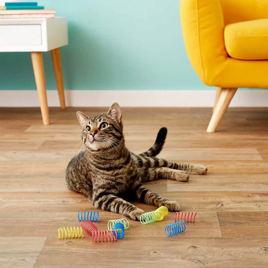 PRIMI PETS™ - Spring Cat Toy